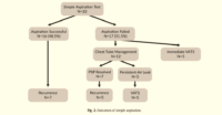 Spontaneous Pneumothorax British Association Of Paediatric Surgeons